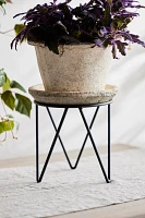 Tripod Plant Stand