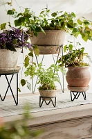 Tripod Plant Stand