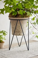 Tripod Plant Stand