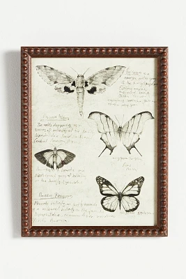 Butterflies Wall Art