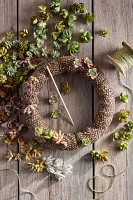 DIY Living Succulent Wreath Kit