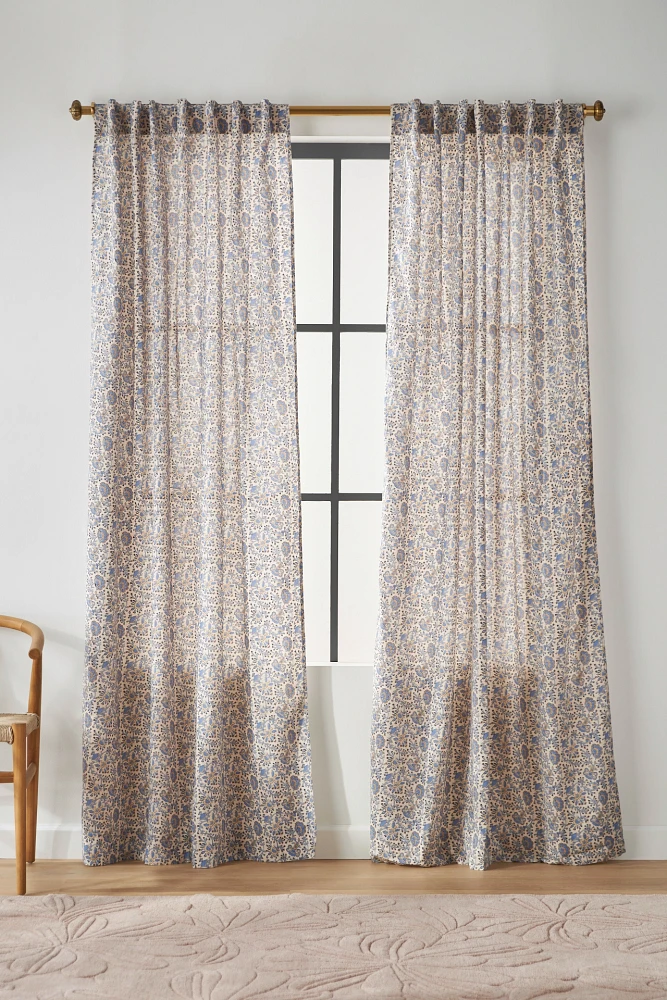 Bellis Curtain