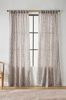 Bellis Curtain