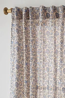 Bellis Curtain