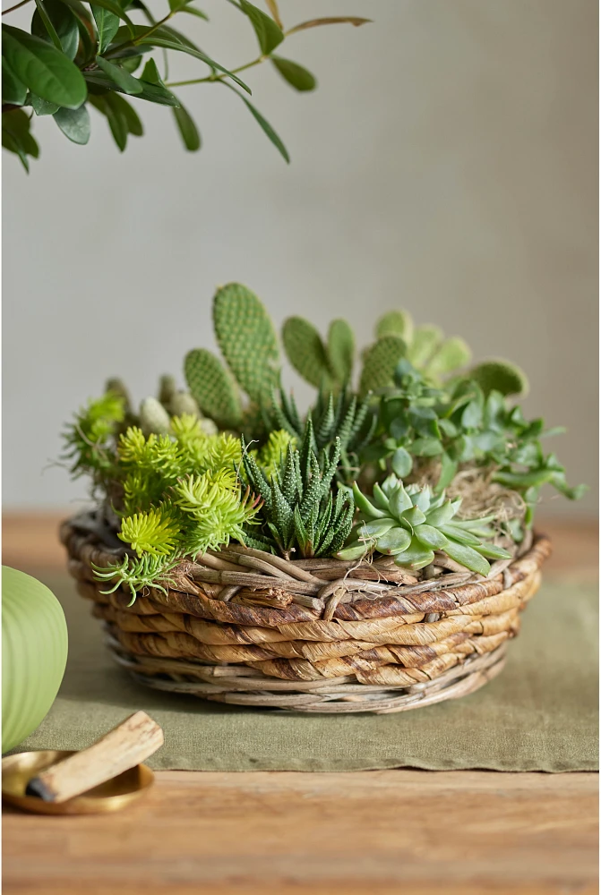 Woven Abaca Basket Planter