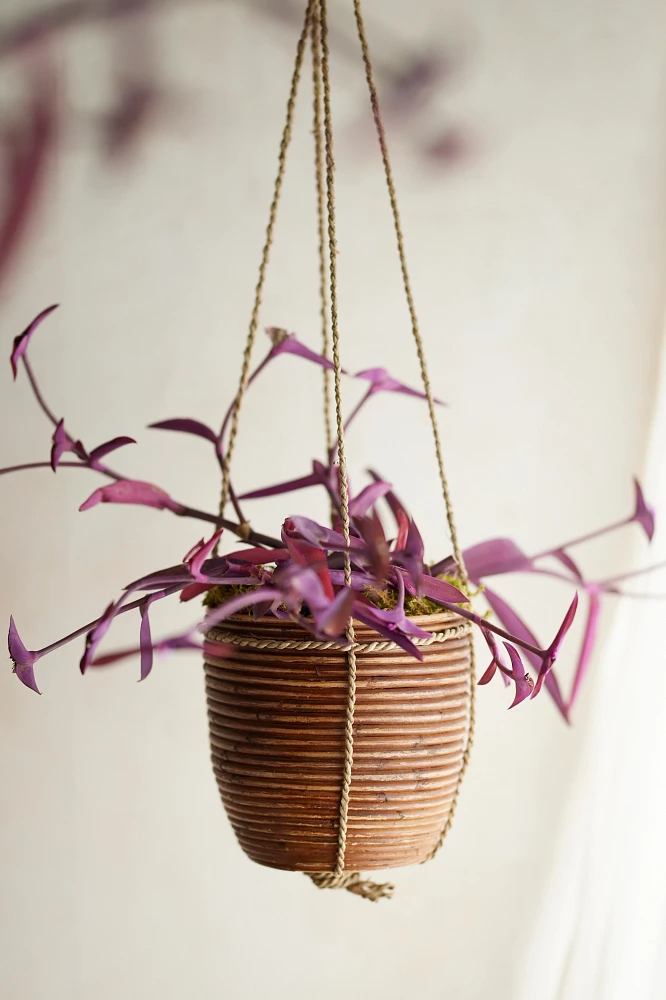 Hanging Rattan Stripe Basket Planter