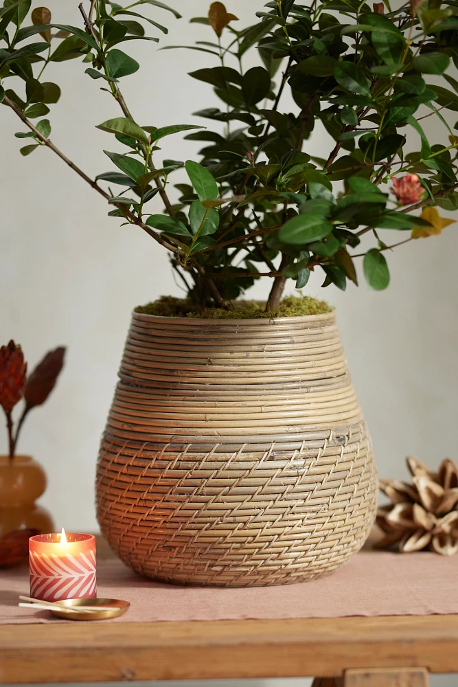 Lombok Droplet Basket Planter