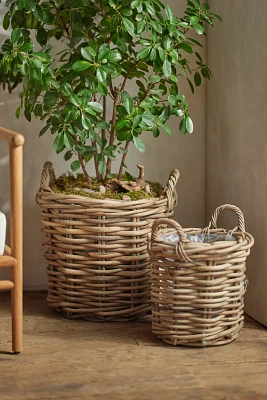 Rattan Cylinder Basket Planter