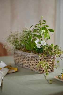 Rattan Trough Basket Planter