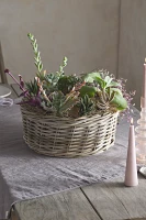 Rattan Wreath Planter