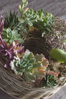 Rattan Wreath Planter