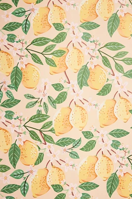 Lemons Wallpaper