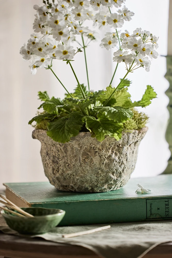 Maritime Bowl Planter