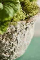 Maritime Bowl Planter