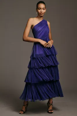 Hutch Xala One-Shoulder Tiered Pleated Tulle Maxi Dress