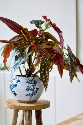 Indigo Floral Low Jar Planter