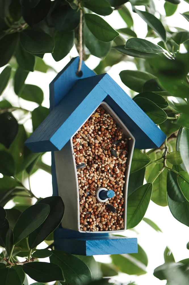 DIY Kid’s Bird Feeder Kit