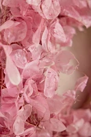 Dried Pink Lunaria Wreath