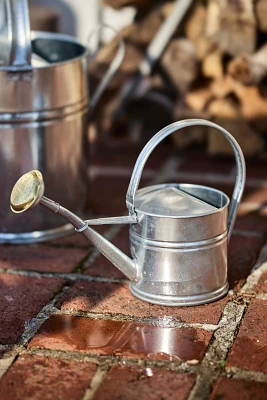 Galvanized Steel Watering Can