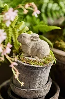 Concrete Bunny