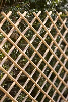 Expandable Woven Willow Lattice Fencing