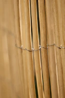 Willow Privacy Fencing