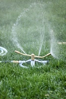 Brass Whirl Sprinkler