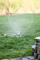 Brass Whirl Sprinkler