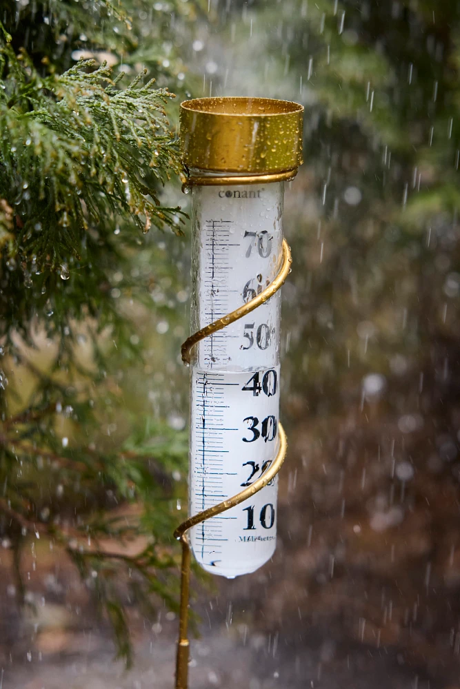 Brass Rain Gauge