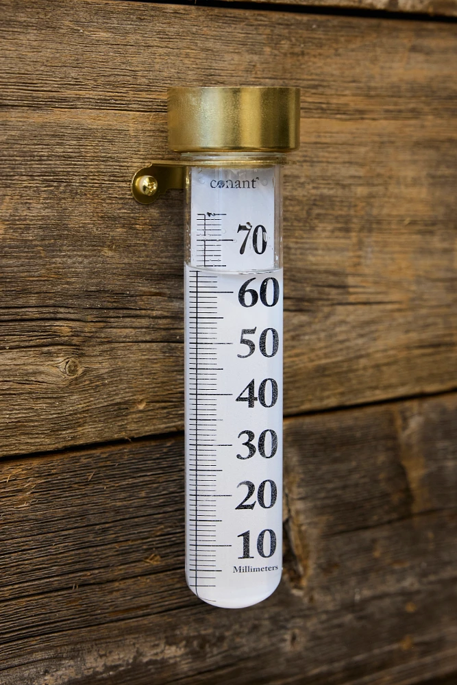 Brass Rain Gauge