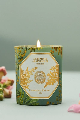 Carrière Frères Artemisia Absinthium Boxed Candle