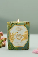 Carrière Frères Artemisia Absinthium Boxed Candle