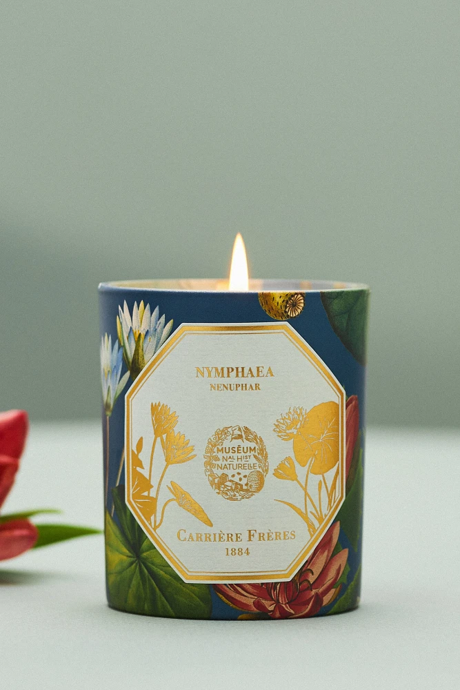 Carrière Frères Nymphea Waterlily Boxed Candle