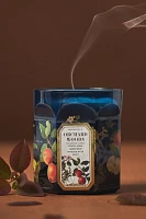 Apothecary 18 Spice Orchard Woods Glass Candle