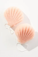 Nautical Radiance Seashell Konjac Sponges, Set of 2