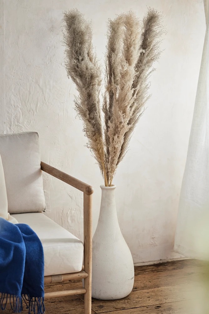 Dried Pampas Grass Bunch