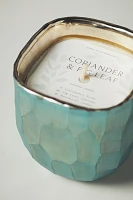 Pebble Fresh Coriander & Fig Leaf Glass Candle