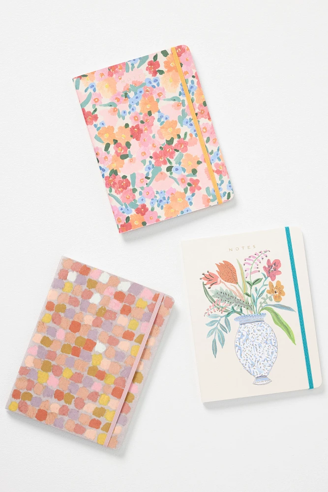 Seedlings Journals, Set of 3