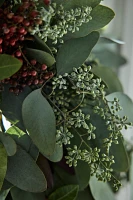 Fresh Eucalyptus + Pepperberry Wreath