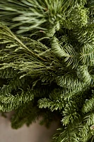 Fresh Noble Fir, Cedar + Pine Wreath