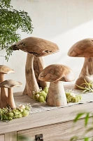 Teak Mushroom, Medium