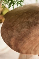 Teak Mushroom, Medium