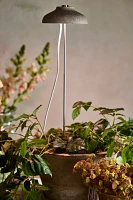 Adjustable Bamboo Grow Light