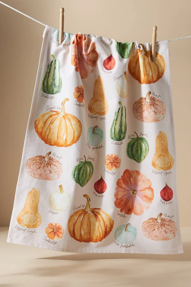 Types of Pumpkins Dish Towel