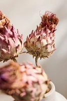 Dried Mini Artichoke Bunch