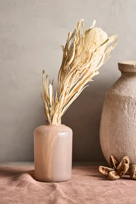 Dried Banksia Stem