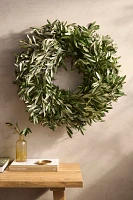 Fresh Olive Branch Wreath