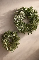 Fresh Olive Branch Wreath