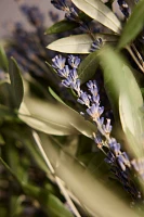 Fresh Lavender + Olive Wreath