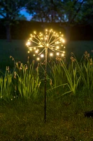 Solar Dandelion LED Stake Light